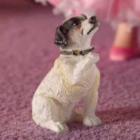 7334  Jack Russell Terrier