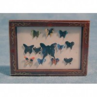 Butterfly Box D799