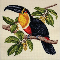 Toucan