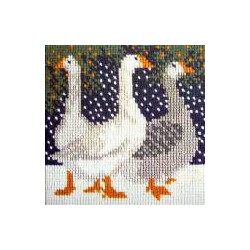 Snow-geese