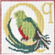 Q-Quetzal