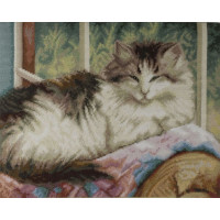 1071 TT Persian Cat