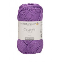 Catania - 00301  hyacinth