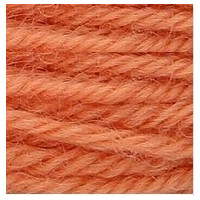 9510- Anchor Tapestry Wool