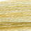 0677 Very Light Old Gold