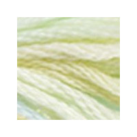4060- Color Variation Thread