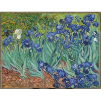 Van Gogh -Iris