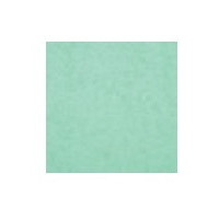 228103 COL 80 Menta