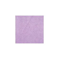 EMMA- COL 101 Violetto