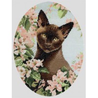 Burmese Cat