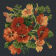 Nasturtium