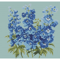 Delphinium