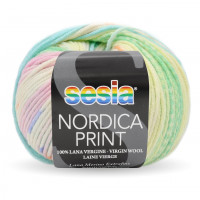NORDICA PRINT 4356