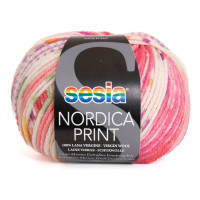 NORDICA PRINT 1534