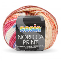 NORDICA PRINT 4355