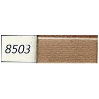 8503 Medicis