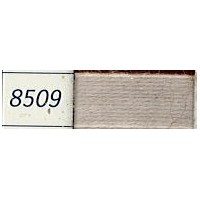 8509 Medicis
