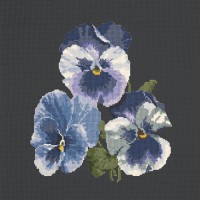 Pansies