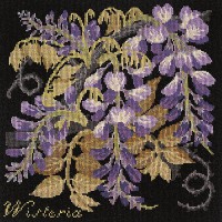 Wisteria