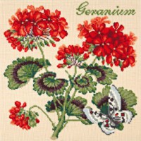 Geranium