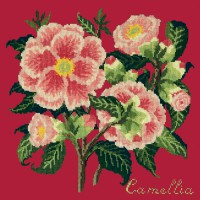 Camellia