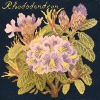 Rhododendron