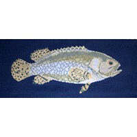 Brindled Grouper