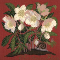 Christmas Rose