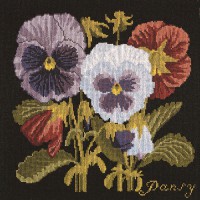 Pansy