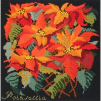 Poinsettia