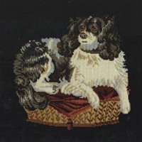 King Charles Spaniel