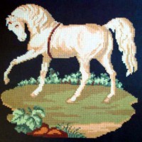 Palomino Horse