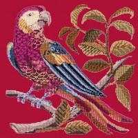 The Parrot