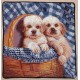 82578A TT Hunde  40x40 cm