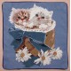 89077 TT Kissen  36x36 cm-