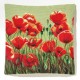 C4161 DTW Kissen  40x40 cm-