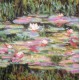 C4225 TT Monet  40x40 cm-