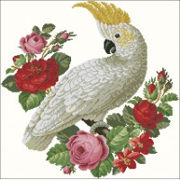 Parrot and Roses