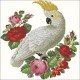 Parrot and Roses