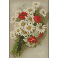 Daisies and Poppies